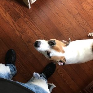 Meet your Posher, James